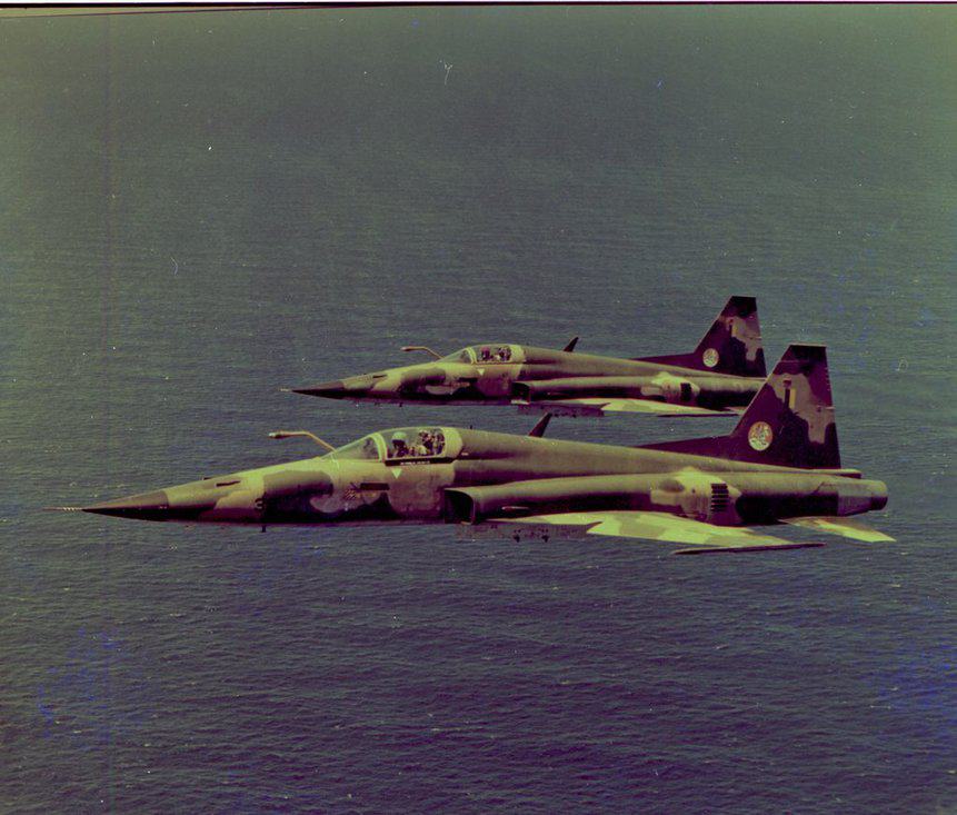 F-5 1gavca fab