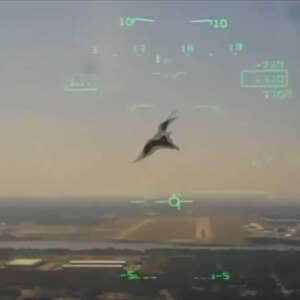T-45 vídeo imagens acidente Goshawk bird strike pássaro acidente