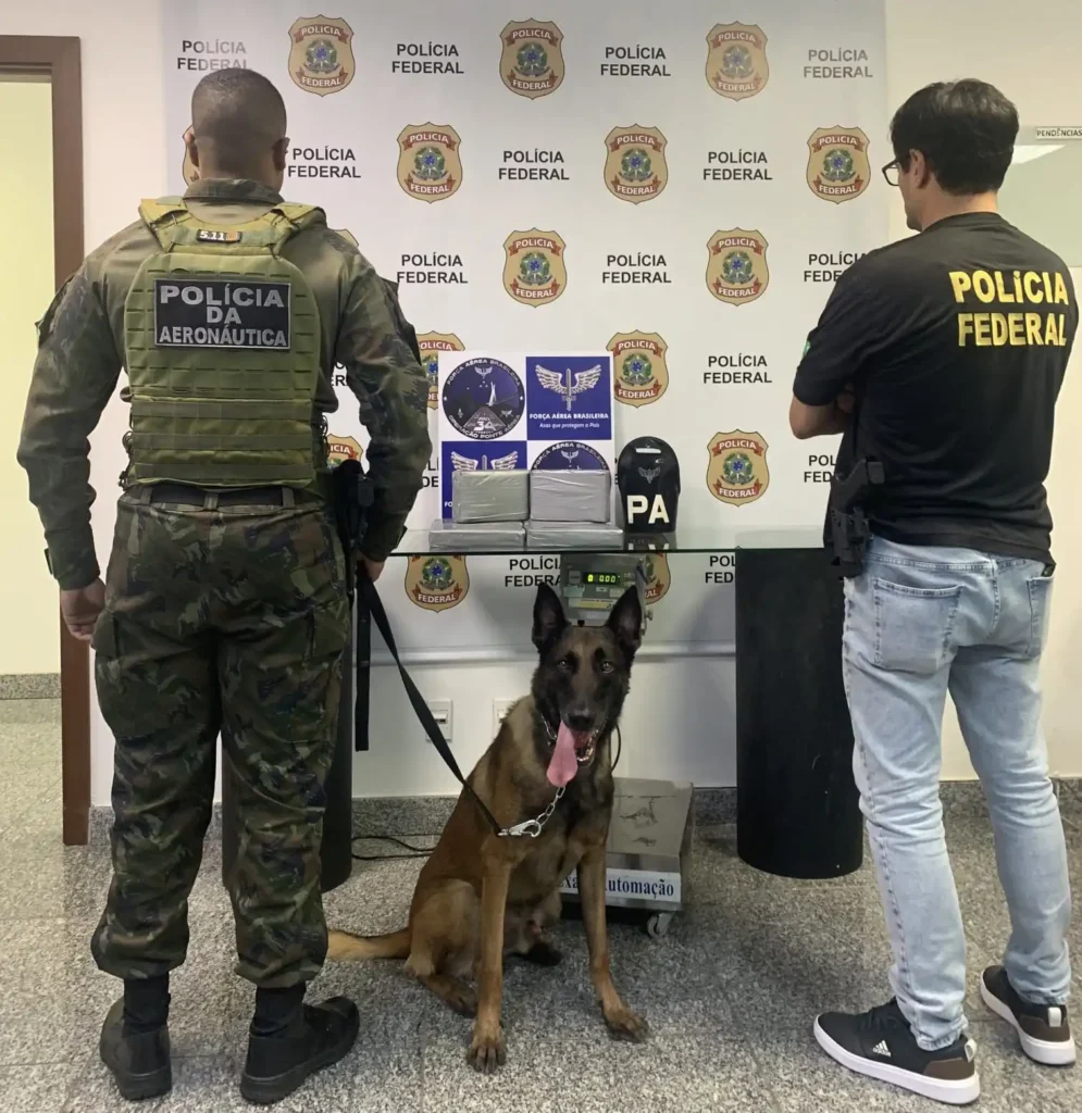 Ação conjunta entre FAB e PF capturou 6,5 quilos de drogas no Aeroporto do Galeão (RJ). FAB/Divulgação
